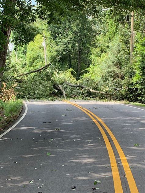 Downed Trees Power Lines Blocked Road In Gainesville Monday