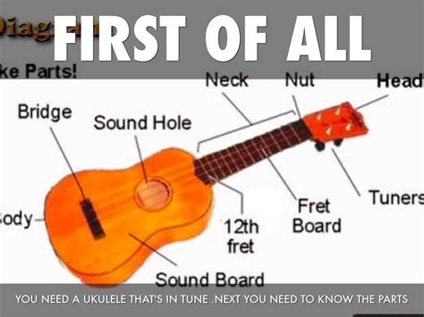 Anatomy Of A Ukulele A Visual Guide