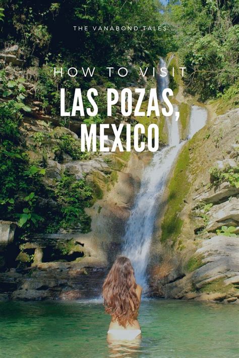 How to Visit Las Pozas | Mexico travel, Visit la, Mexico travel destinations