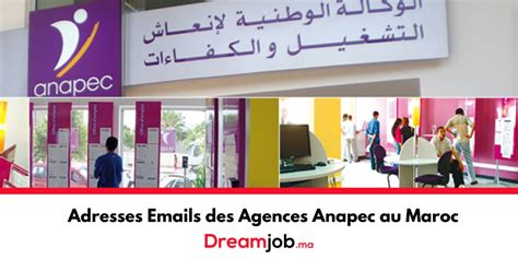 Anapec 2021 Offres Demploi Et Recrutement Dreamjobma