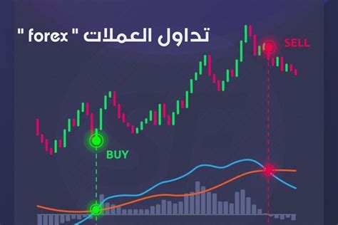 الربح من الفوركس 2023 تداول العملات للمبتدئين شرح مبسط للتداول