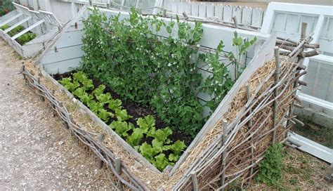 6 conseils pour protéger votre potager dhiver