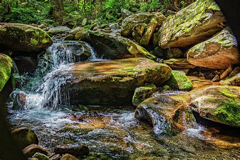 Rainbow Falls Hike Photograph by Gestalt Imagery - Pixels