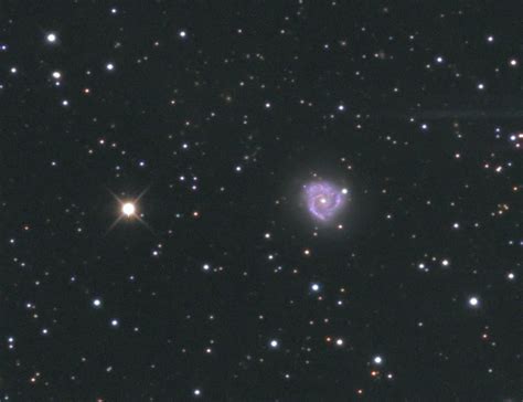 NGC 7137 – IAU Observatory C87