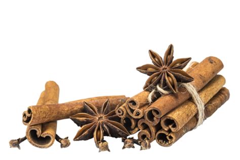 Cinnamon With Star Anise And Clove Sweet Brown Spice Rope Png