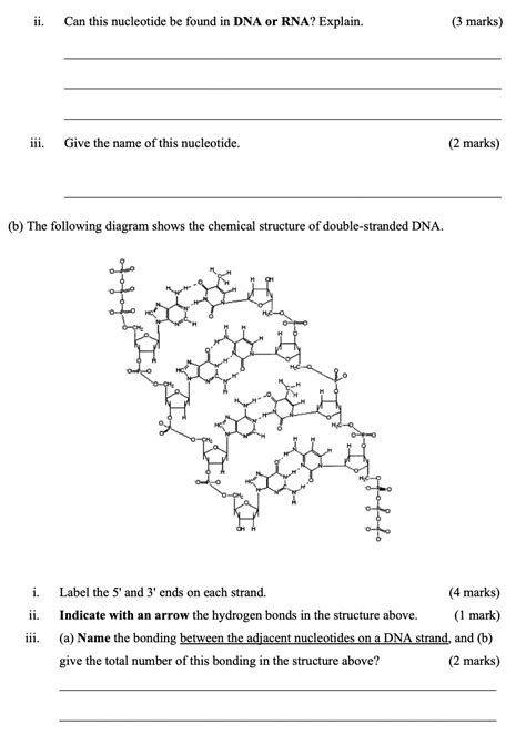 Solved A The Following Structure Is A Nucleotide Found Chegg