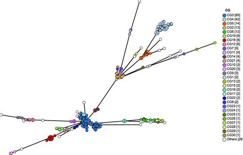 Minimum Spanning Tree Based On Cgmlst Allelic Profiles Of C