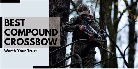 4 Top Compound Crossbows & Thorough Buying Guide