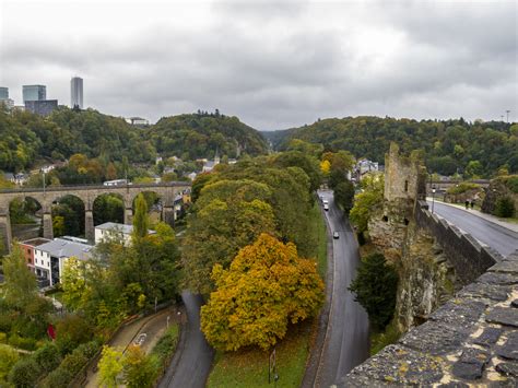 Planteliv Og Dyreliv I Luxembourg Store Norske Leksikon