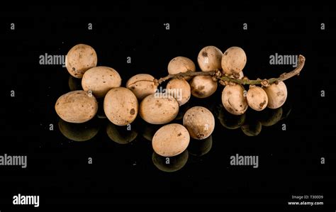 Duku fruit hi-res stock photography and images - Alamy