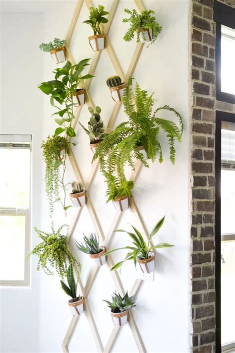 5 Fresh Diy Ways To Hang Plants Indoors Diy Hanging Planters For Indoor