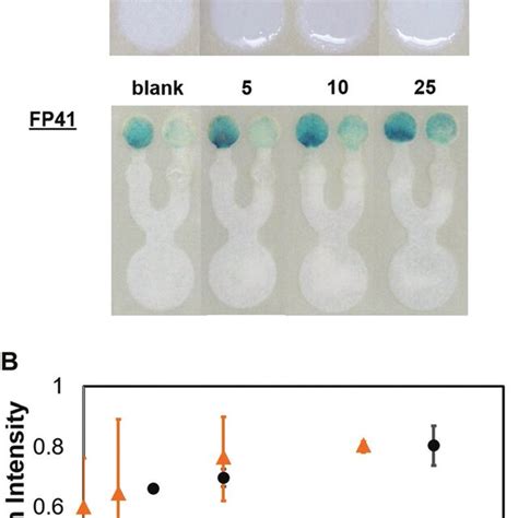 A Schematic Illustration Of The Competitive Immunoassay System On