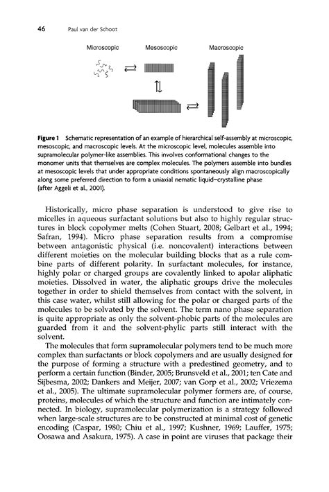 Monomer Units Assembly Big Chemical Encyclopedia