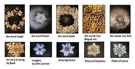 Buddha Weekly Crystal Code Of Water Masaru Emoto Buddhism Buddha Weekly Buddhist Practices