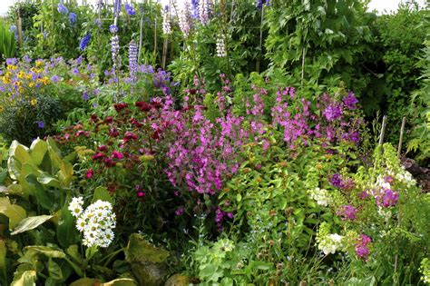 Creating A Quaint Cottage Garden