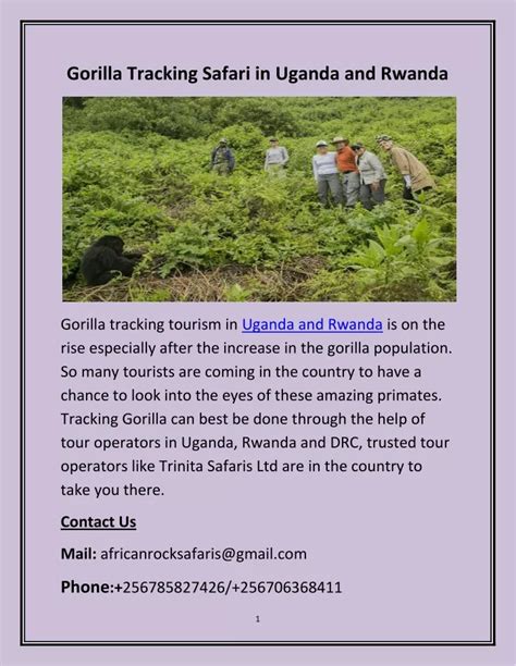 Ppt Gorilla Tracking Safari In Uganda And Rwanda Powerpoint