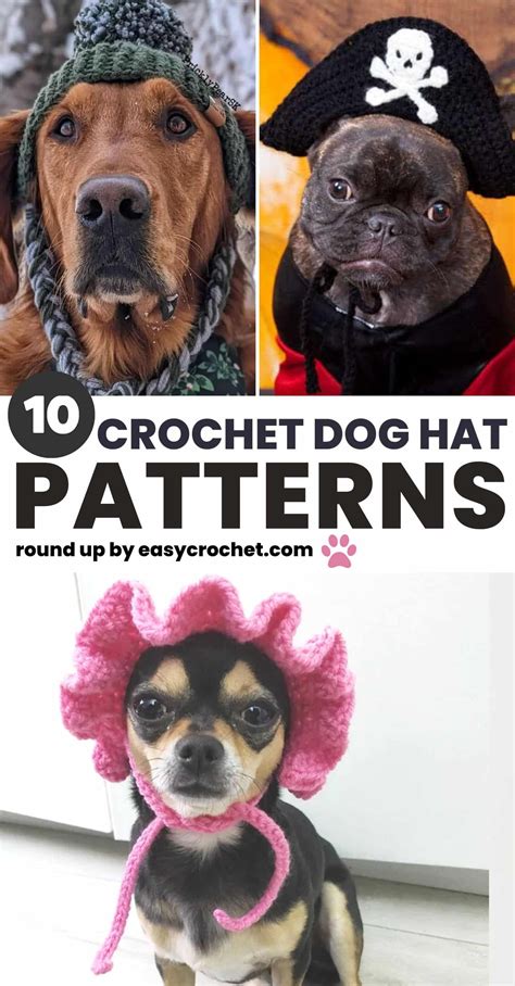 10 Cute Crochet Dog Hat Patterns for Your Beloved Pup