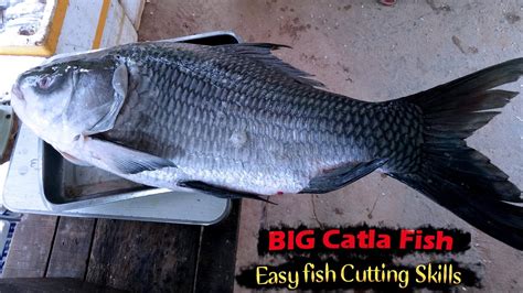 Fish Cutting Stylebig Catla Fish Cutting Skill Lake Fish Road