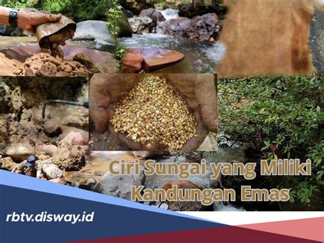 Ternyata Seperti Ini Ciri Sungai Yang Miliki Kandungan Harta Karun Emas