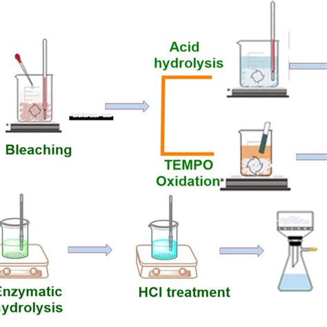 Schematic Representation Of Nanocellulose Preparation And Surface