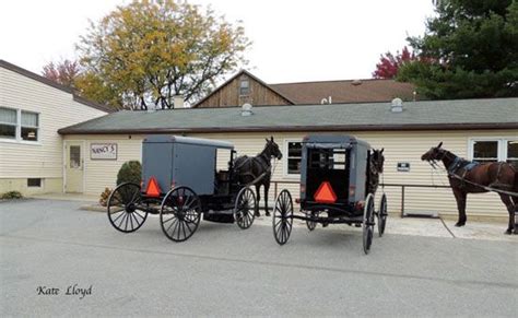 Amish Women Wearing Red and Bathing Suits? | Red bathing suits, Wearing ...