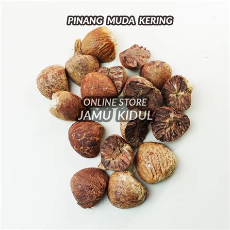 Jual Buah Pinang 500 Gr Atau Jambe Kering Asli Liar Shopee Indonesia