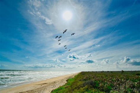 Anastasia State Park Your Next Awesome Camping Destination Beyond