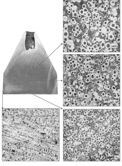 Microstructure Of The Ductile Iron Casting At Indicated Locations Download Scientific Diagram