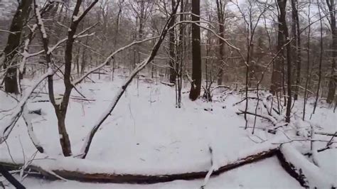 Late Season Pa Grouse Hunt Youtube