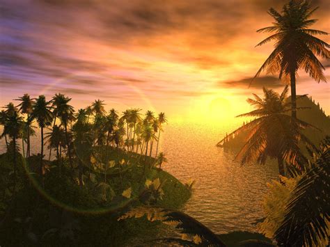 🔥 [40+] Tropical Sunset Wallpapers Free | WallpaperSafari