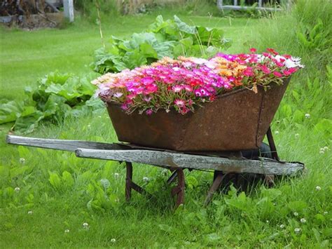 Diy Wheelbarrow Planter Ideas