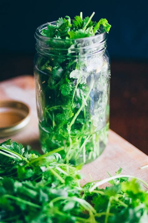 Secret To Keeping Cilantro Fresh In The Refrigerator For Weeks Dad