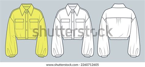 2 553 Bottom shirt 库存矢量图和艺术矢量图 Shutterstock