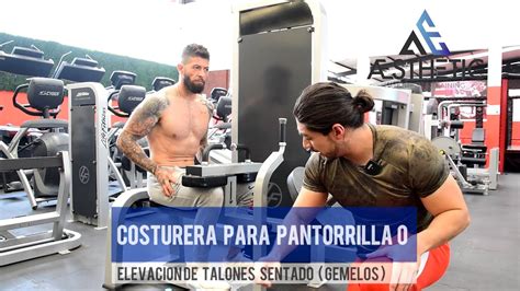 Costurera para pantorrilla o elevación de talones sentado gemelos