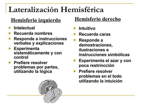 El Cerebro Y El Proceso De Aprender Ppt