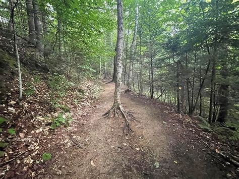 Trail Guide: Franconia Ridge Loop in the White Mountains - Wandering with a Dromomaniac