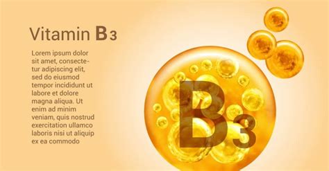 Tìm Hiểu Vitamin B3 Gì Công Dụng Của Vitamin B3 đối Với Làn Da