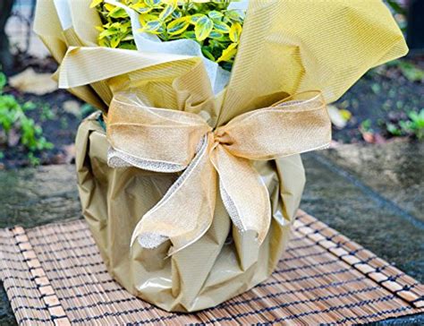 Golden Wedding Rose Th Anniversary Rose Bush Gift Wrapped Golden