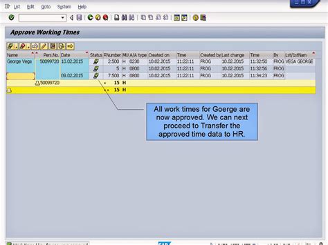 青蛙sap分享 Froggys Sap Sharing Sap Hcm Time Management Cats Approval