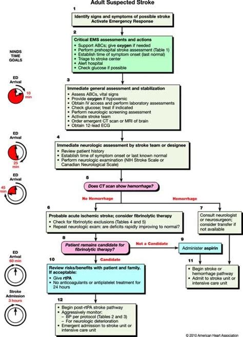 Acls Guidelines 2010 Update Suspected Stroke Algorithm