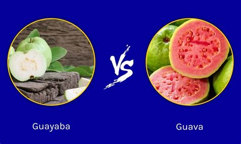 Guayaba Vs Guava Whats The Difference A Z Animals