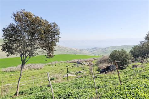 Blue Green Atlas The Climate Of Israel