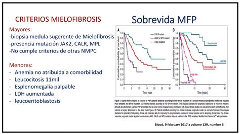 Neoplasias Mieloproliferativas Phi Ppt