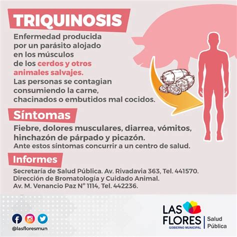 Recomendaciones Para Prevenir La Triquinosis Noticias De Las Flores