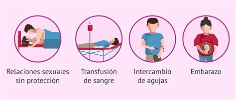 Ets Noviembre 2018