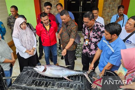 Kkp Siapkan Pemeriksa Mutu Ikan Di Lokasi Modeling Pit Di Maluku