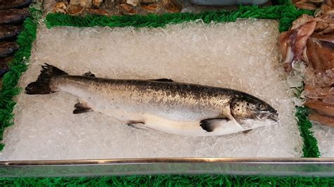 Cómo saber si el pescado está fresco Estas son 7 claves que no fallan