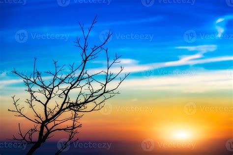 sunset tree landscape 18897038 Stock Photo at Vecteezy