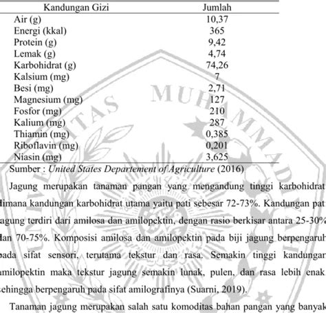 Ii Tinjauan Pustaka Jagung Zea Mays L