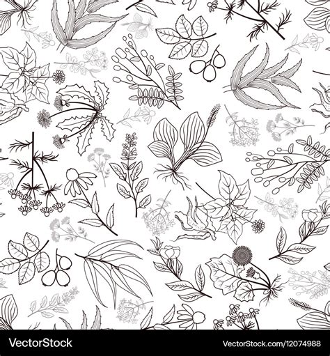 Herbs And Spices Seamless Pattern Royalty Free Vector Image